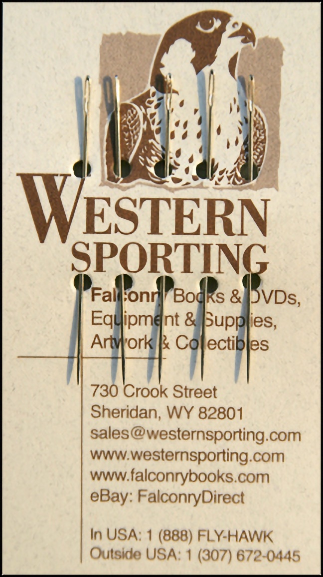 Darners Hood Sewing & Glovers Leather Needles