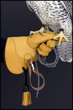 Short Cuff Deer Skin Glove