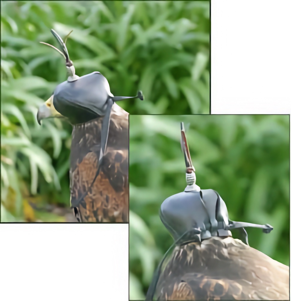 Predator Hood - Blocked Ango-Indian - 13 Sizes!  - Choose Size