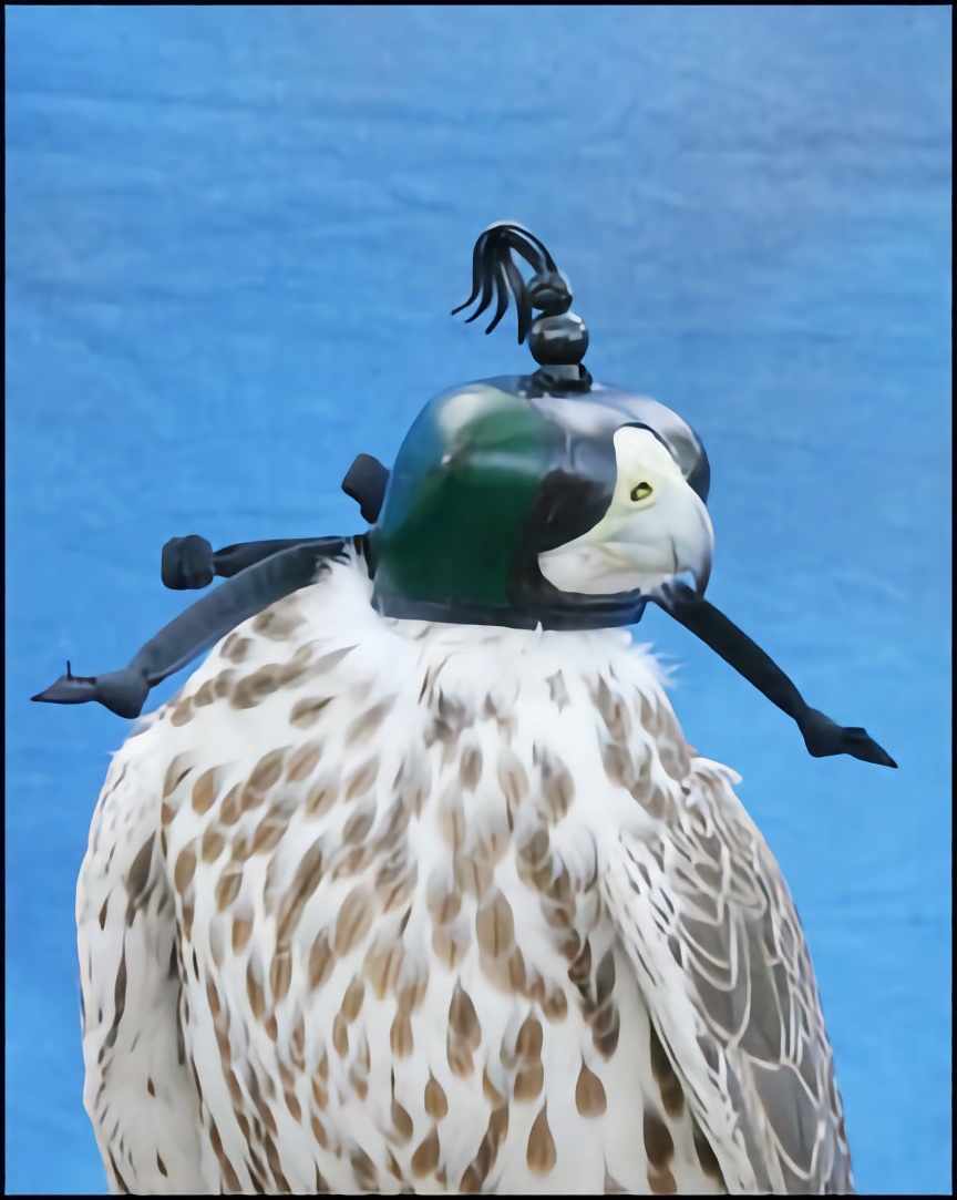 Darted Dutch Hood<br>Medium Sized Raptor<br>Select Hood Size