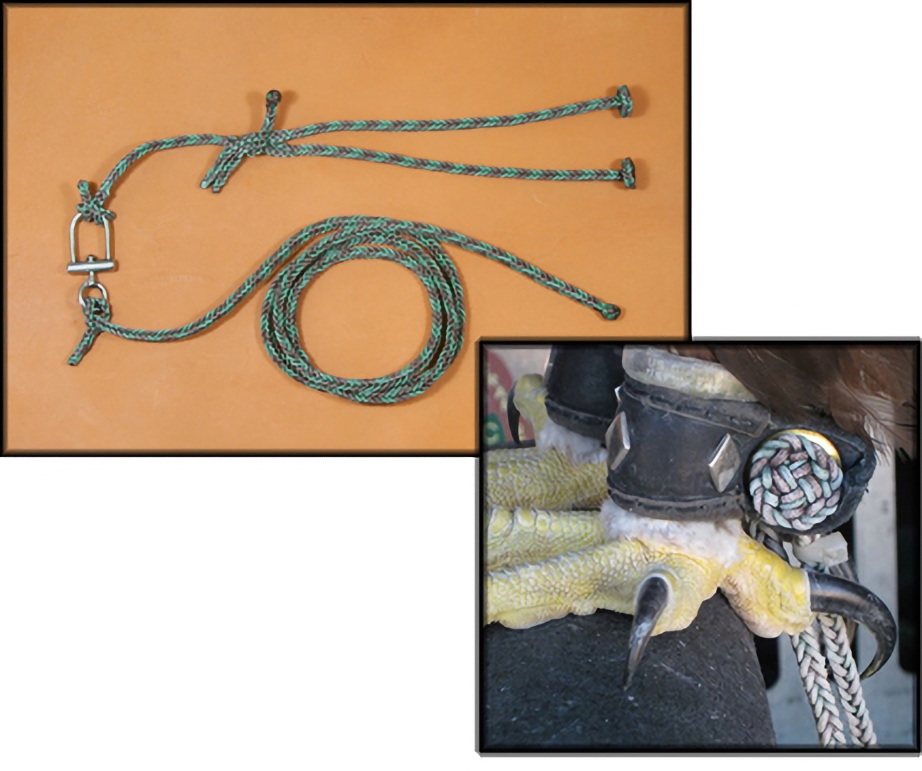 Eagle Tethering System<br>Peer Reviewed & Tested<br>See More Info