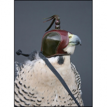 Rollins Dutch Falconry Hood - Exterior Sewn - 32 Sizes Available