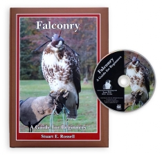 Falconry: BOOK & DVD, Guide for Beginners (Training a Red-tailed Hawk)