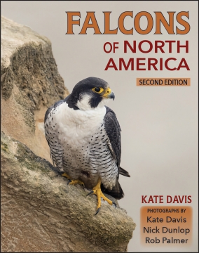 Falcons of North America by Kate Davis, Softbound, 239 pages