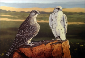"Jerkins - Tame Hack" by Mark Waller - Framed Art Print - Signed by Artist