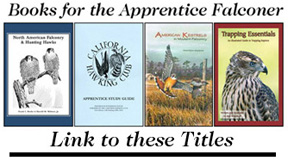 Apprentice Supplies