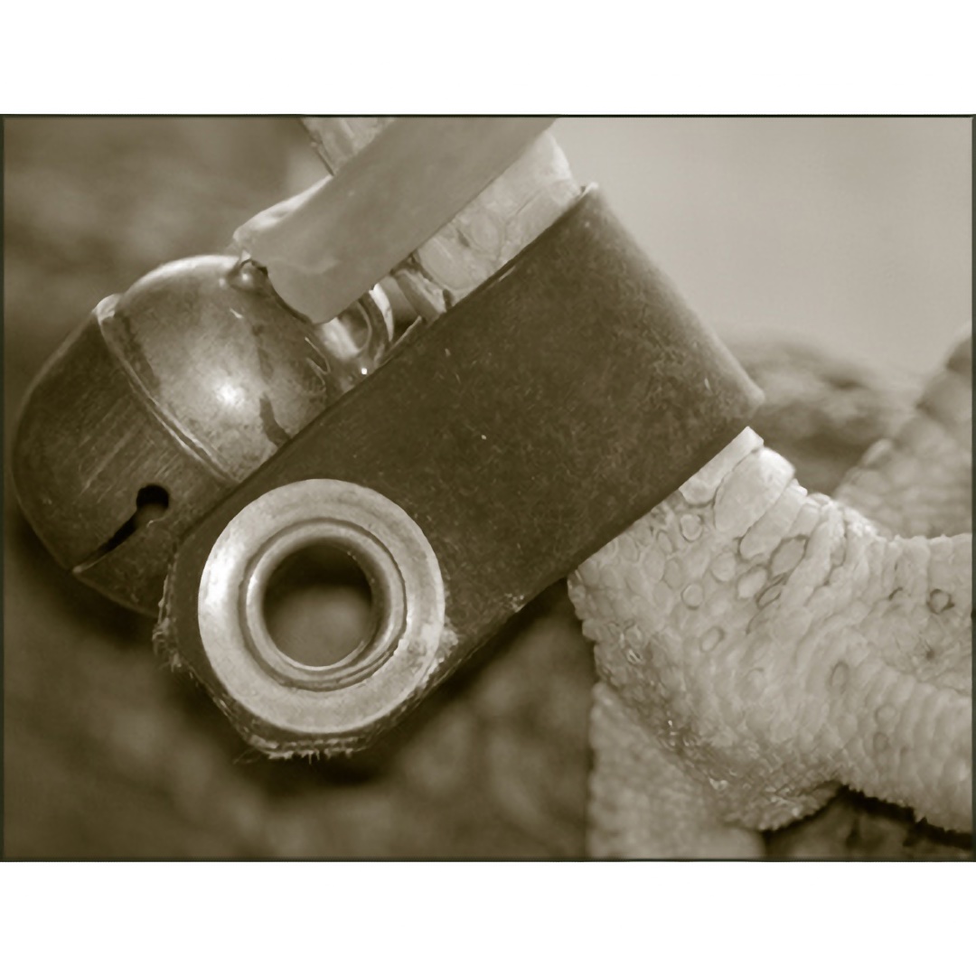 Western Sporting Falconry -: Leather Hole Punch with Hardened Cutting Edge  - Perfectly Round Anklet Holes