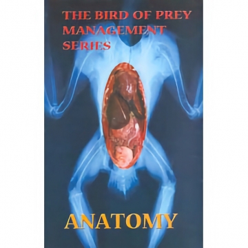 Anatomy, Faraway Films, DVD, 52 Minutes, An Essential Study (R)