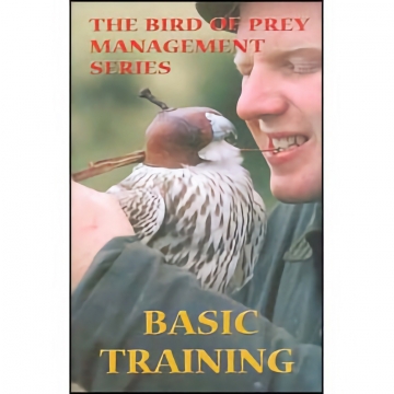Basic Training - DVD, Faraway, 52 Minutes - Basic Training and Progression (R)