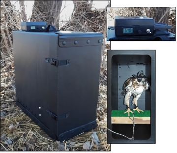 Western Sporting Large Hawk Coroplast Box - Ventilation Fan Option - Exclusive