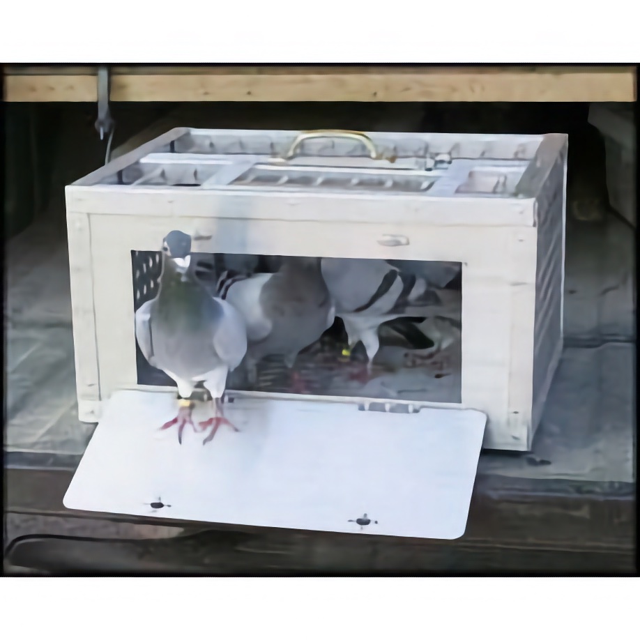 10 Bird Transport Crate - Aluminum Crate - Very Sturdy Construction