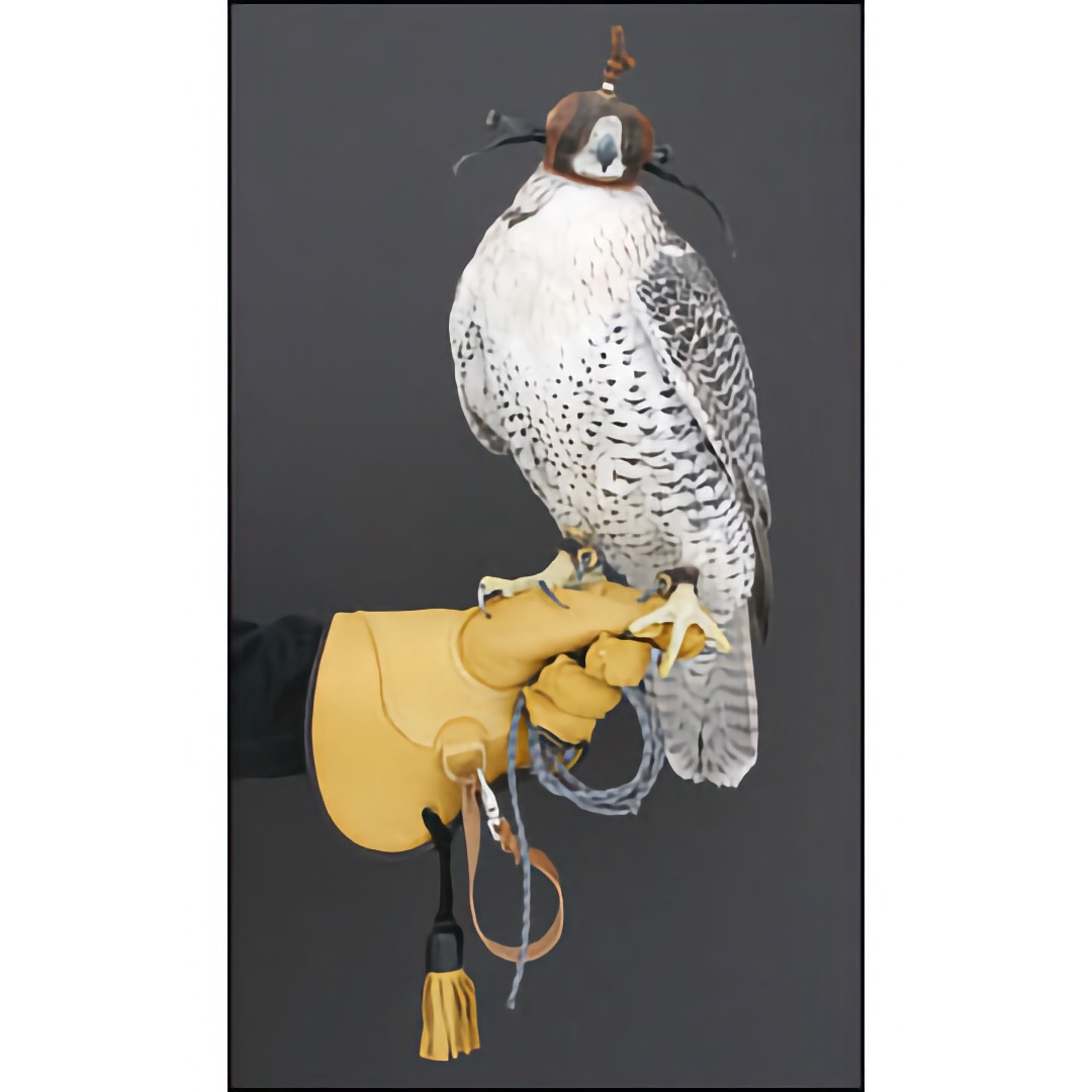 Deer Skin Glove - Medium/Heavy Short Cuff Color: Natural Color
