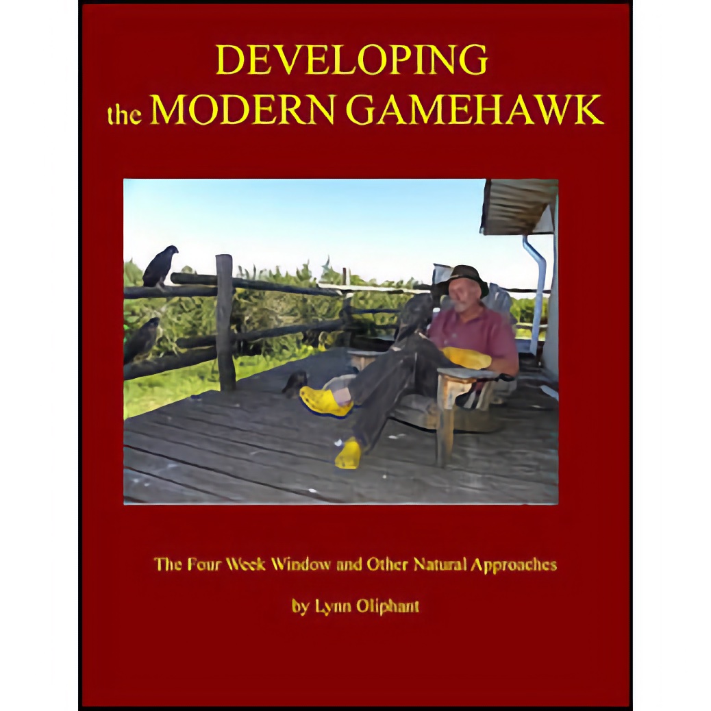 Developing the Modern Gamehawk- The Four Week Window - By Lynn Oliphant