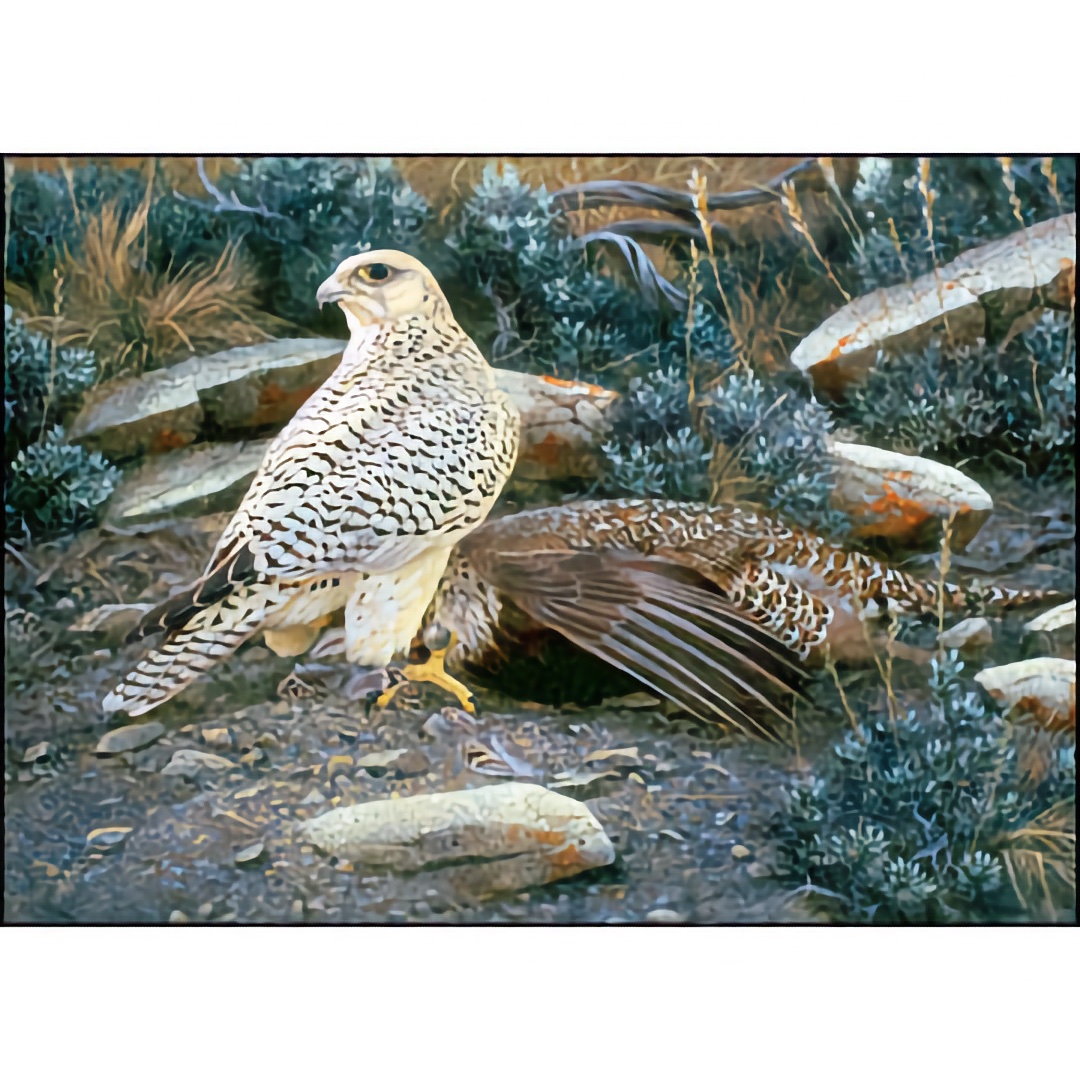 Distant Eagle - Fine Art Print - by Hans Peeters - See Larger Image