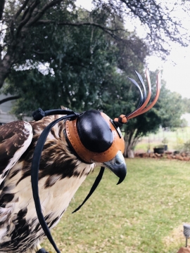 Jordanian Style Arab-Backed Hood - High Quality Falconry Hoods