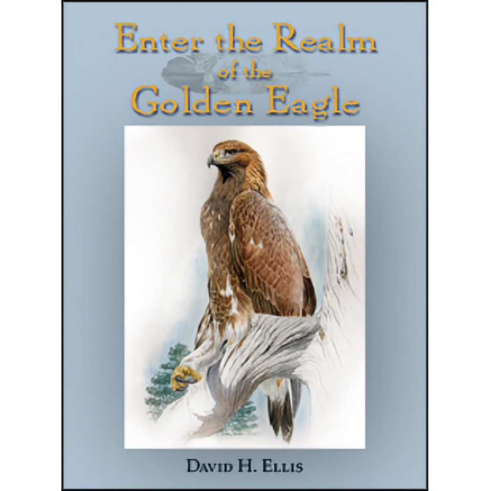 FB2311-Enter-Realm-Golden-