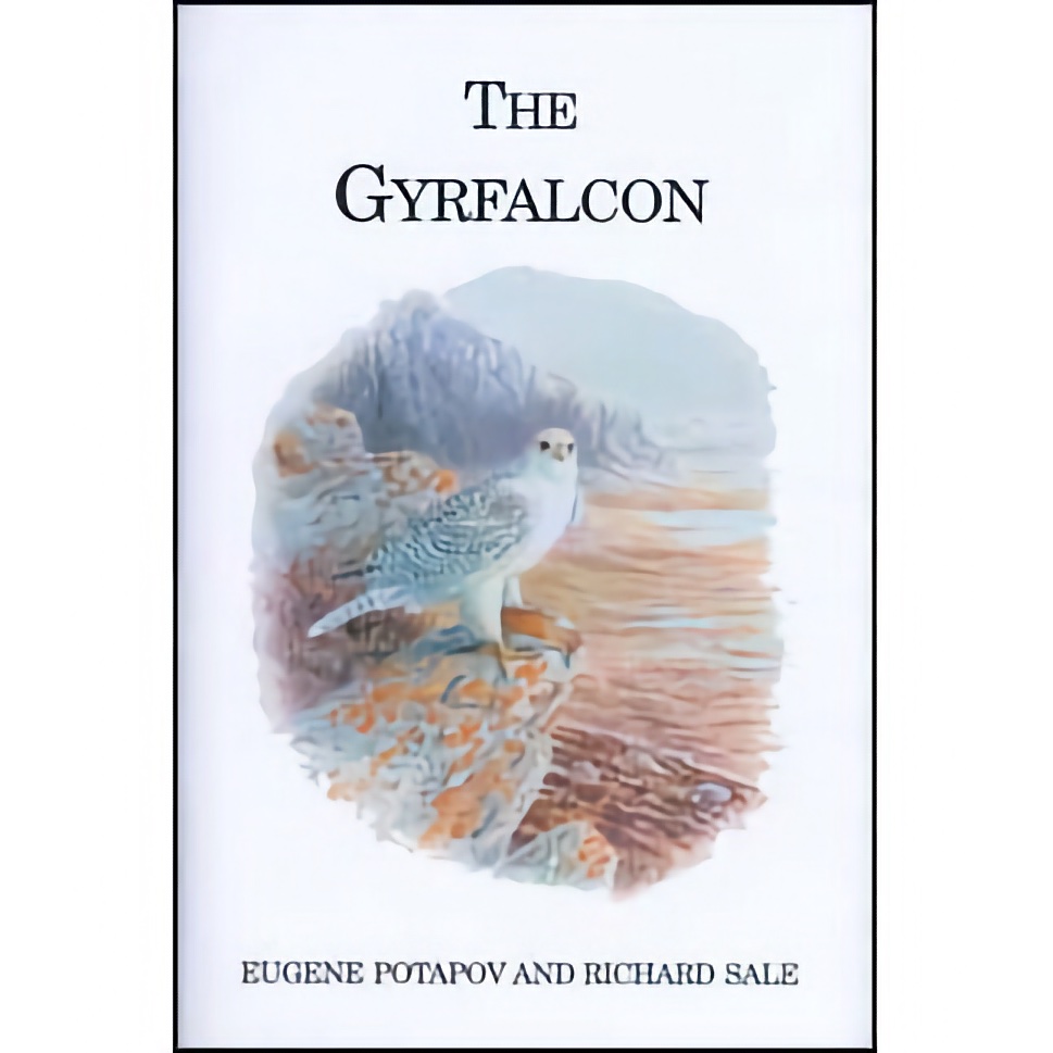 The Gyrfalcon by  Eugene Potapov & Richard Sale, Hardbound