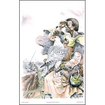 Art Print: Gyrfalcon - by Vadim Gorbatov - Limited Edition - Learn More