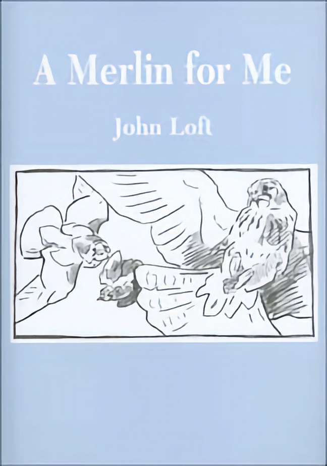 A MERLIN FOR ME