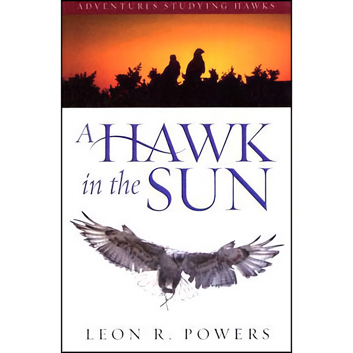 Western Sporting Falconry A Hawk In The Sun Adventures Studying Hawks By Leon R Powers