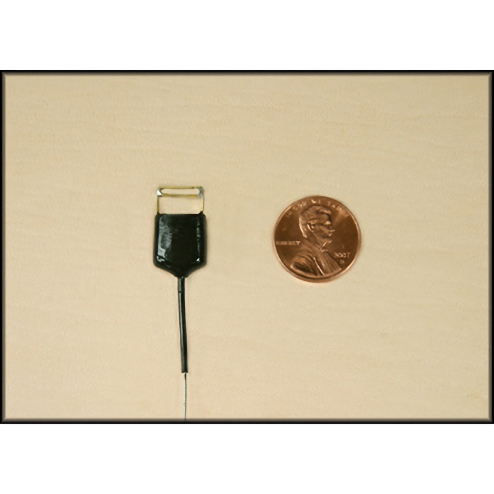 L.L. LF-3 Merlin Special Transmitter - IN-STOCK - 3 Volt Bewit or Neck Mount