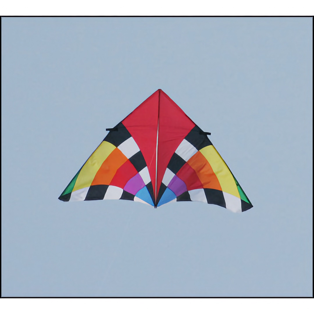 Levitation Delta Kite -  High Aspect Delta Kite- 4-20 MPH Wind
