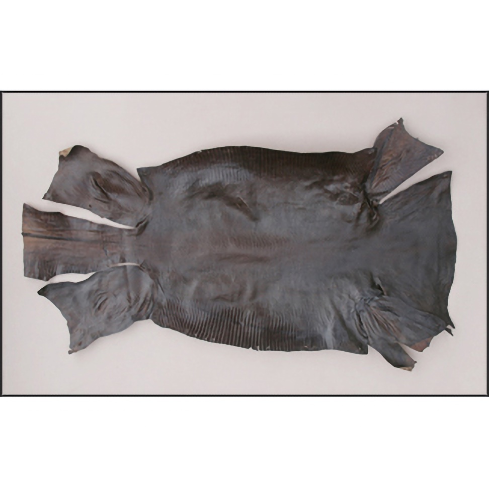 Iguana Lizard Skins - Protect Eye Panels with Lizard Lamination