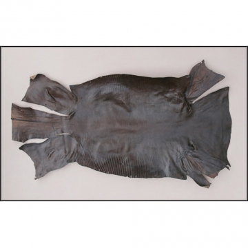 Iguana Lizard Skins - Protect Eye Panels with Lizard Lamination