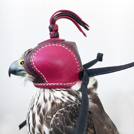 Ron Rollins Size 45mm Falconry Hood 