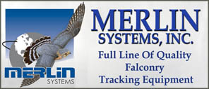 Merlin Systems