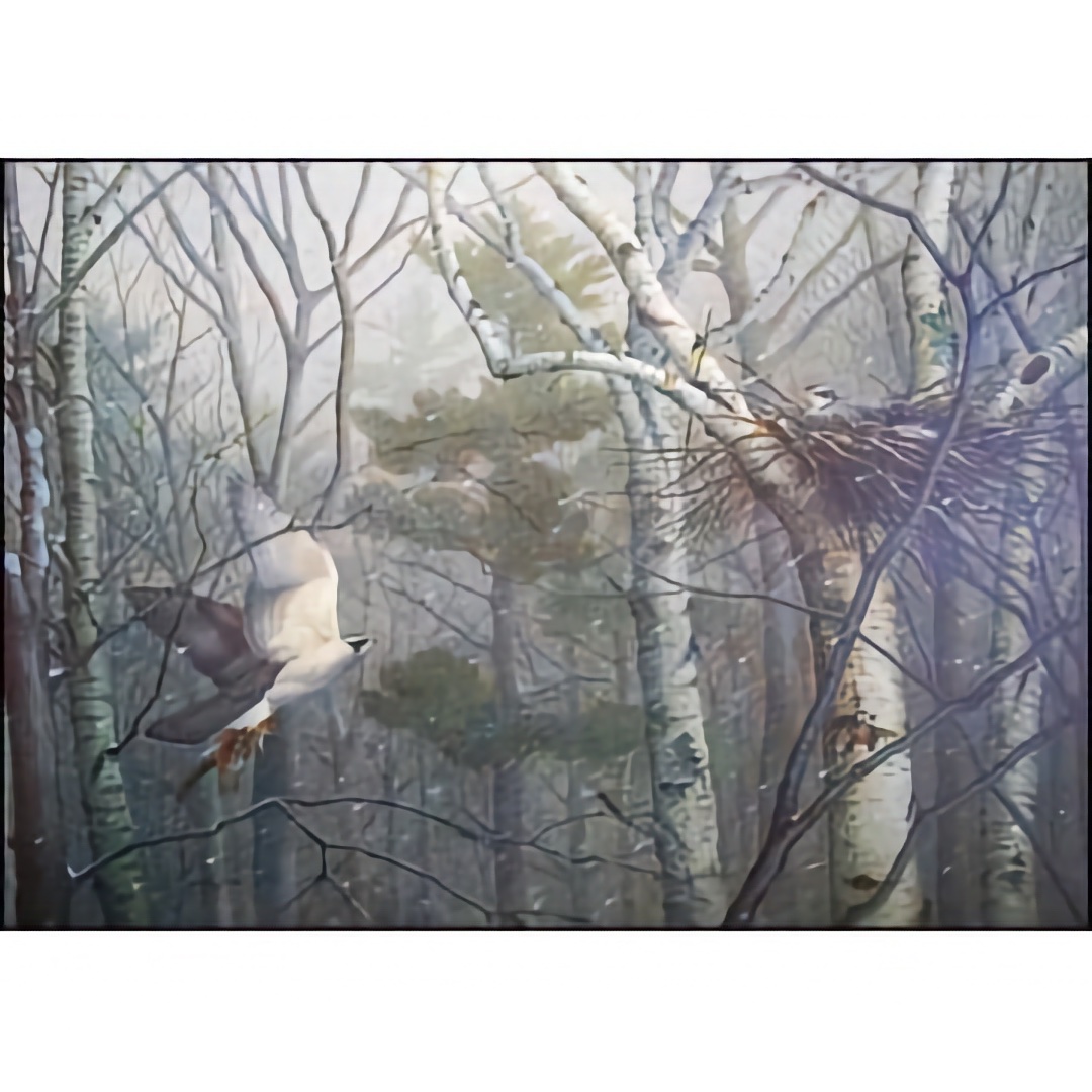 Anticipation - Art Print - by Jonathan Wilde - See Larger Image
