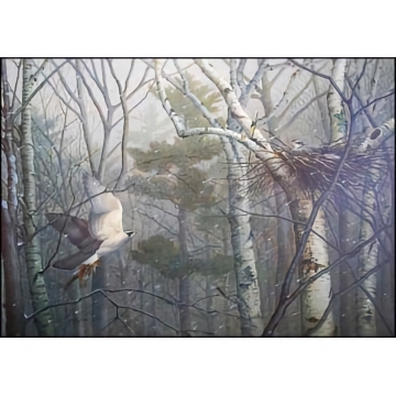 Anticipation - Art Print - by Jonathan Wilde - See Larger Image