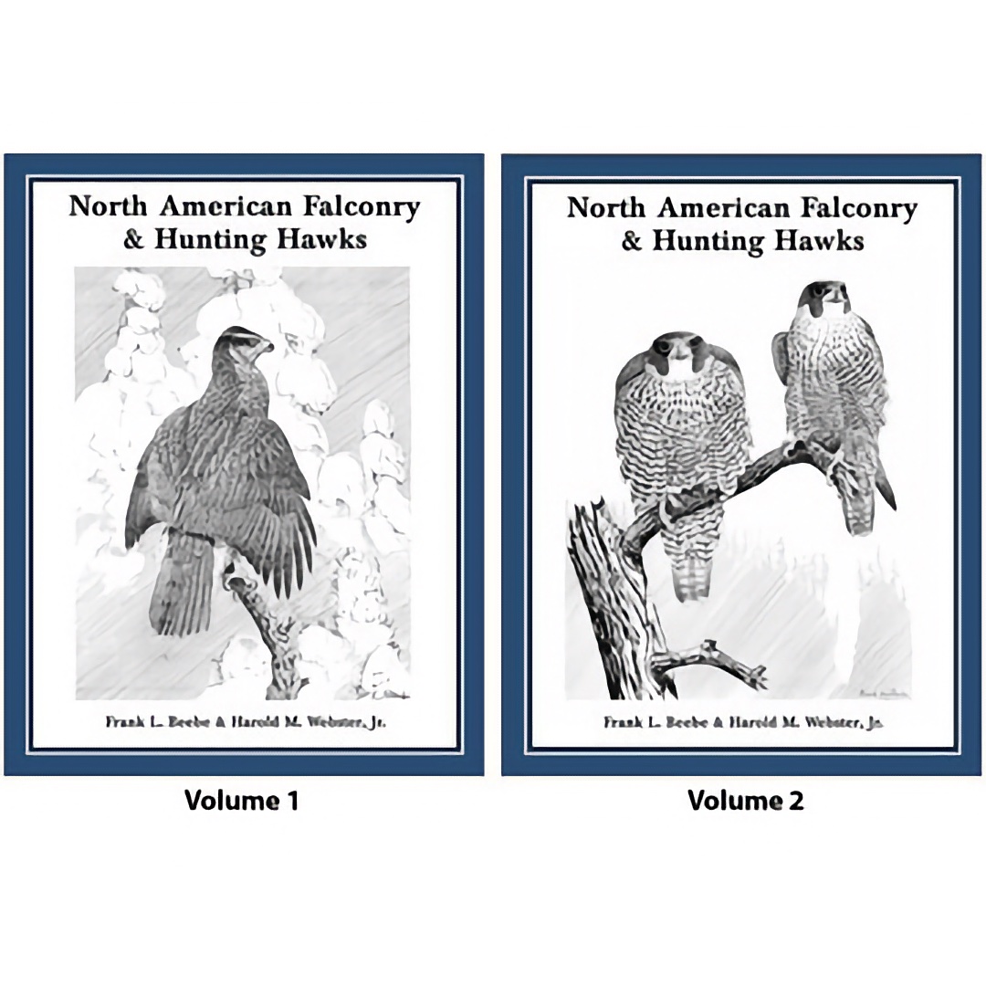 N A Falconry & Hunting Hawks, Complete Treatise on the Sport, Giant 2-Volume Boxed Set