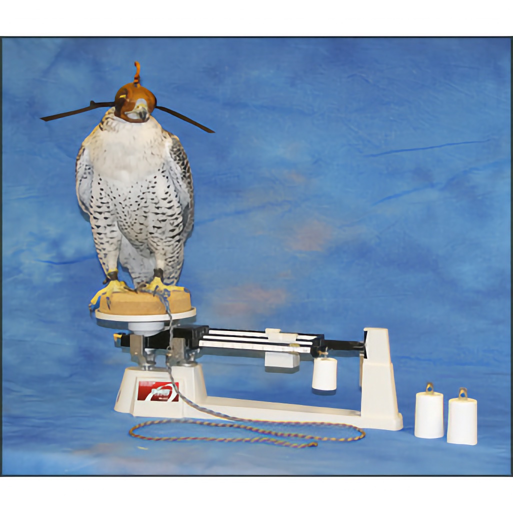 Small Raptor Digital Scale - Northwood Falconry