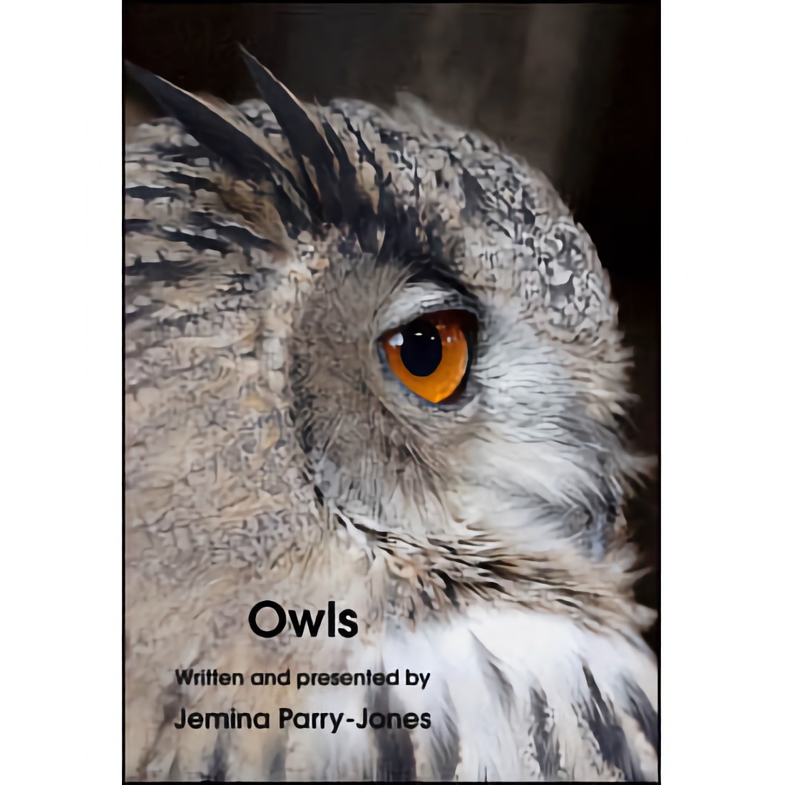 洋書 TRAINING BIRDS OF PREY JEMIMA PARRYJONES Training Birds of Prey - Parry-Jones, Jemima: 9780715301425