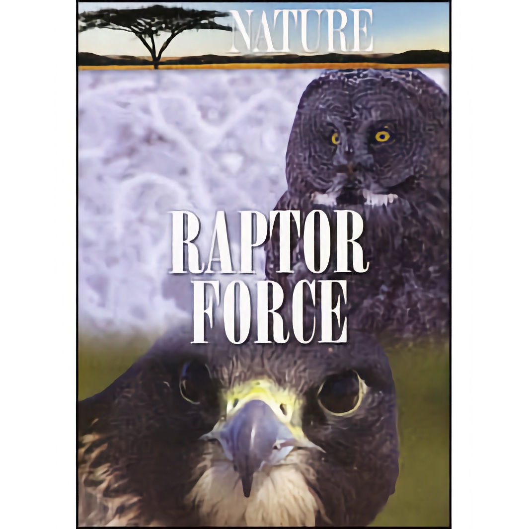 Raptor Force - Film by Nature - DVD, 56 Minutes, Stunning Footage