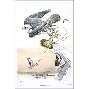 Art Print: Saker Falcon - by Vadim Gorbatov, Archival Paper, Learn More