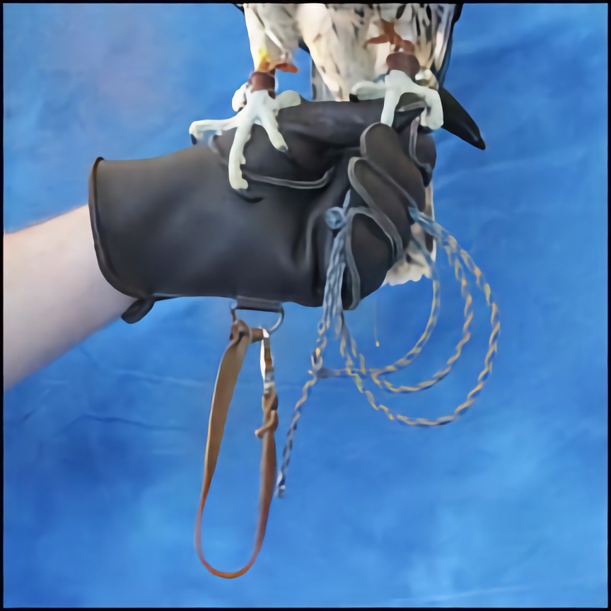 Single-Skin Falconry Glove - Light to Med Duty - Longwings & Small Hawks