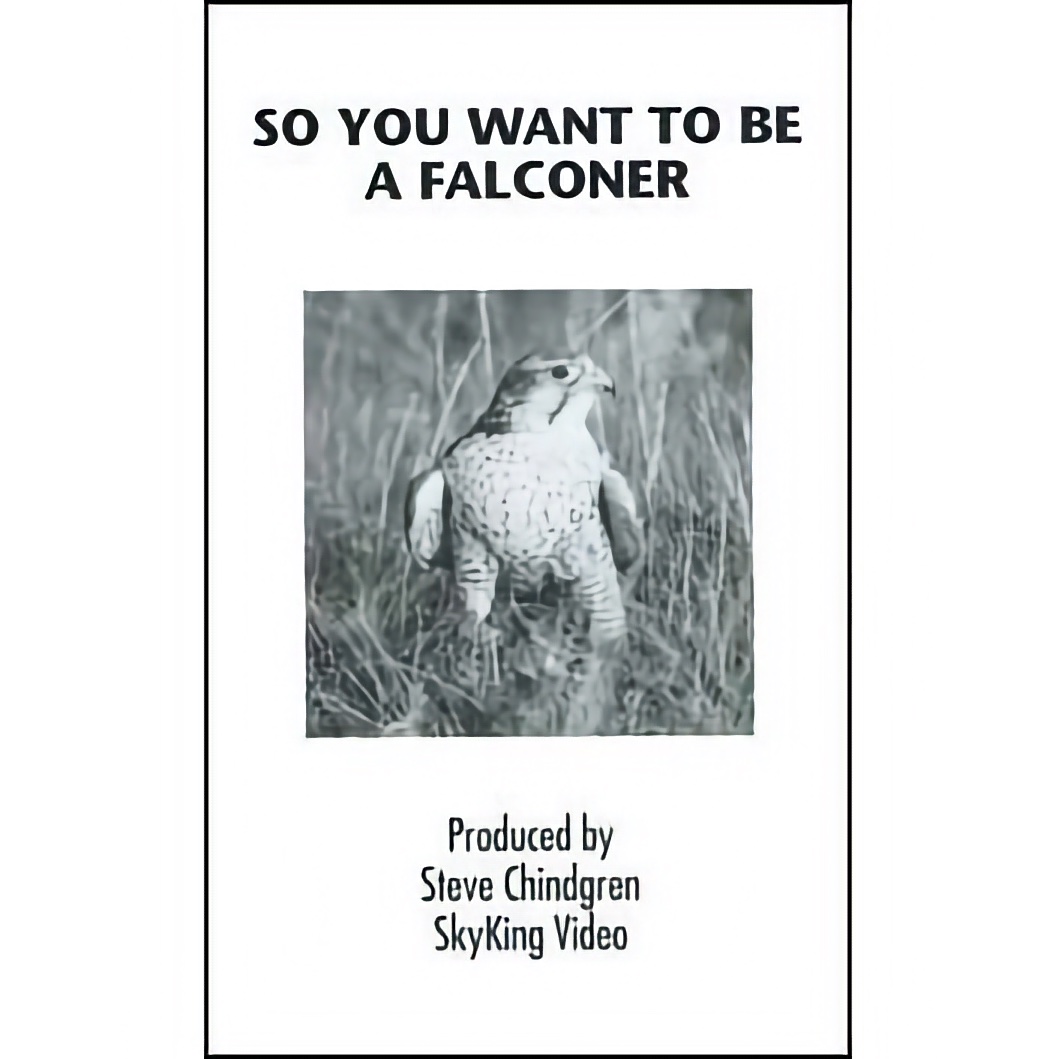 So You Want to be a Falconer - DVD, SkyKing, 20 minutes - See More Info