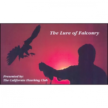 The Lure of Falconry - DVD, California Hawking Club, 20 Minutes (R)