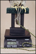 Small Raptor Digital Scale - Northwood Falconry