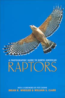 Falconry How To Books