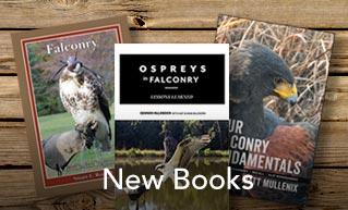 Western Sporting Falconry -: Falconry Kits